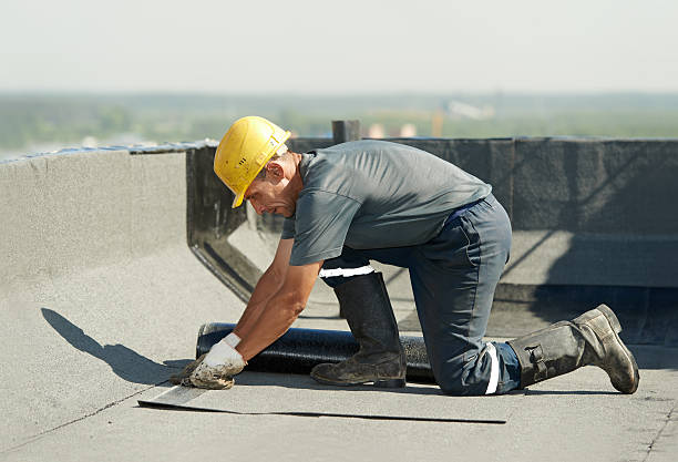 Best Fiberglass Insulation in Bellair Meadowbrook Terrace, FL