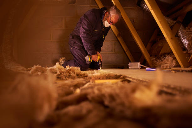 Best Geographic-Specific Insulation Services in Bellair Meadowbrook Terrace, FL